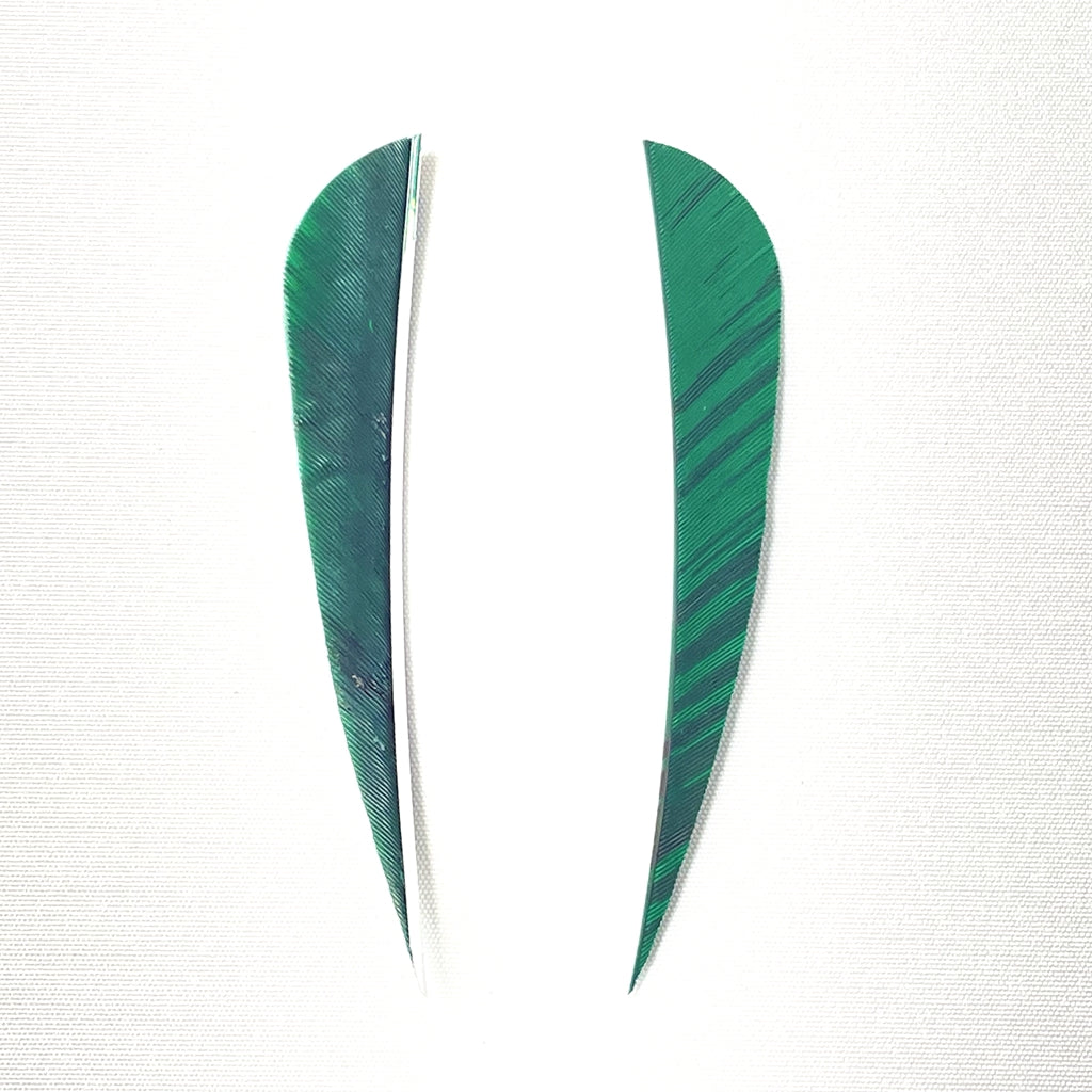 ARCHQUICK 4" Parabolic Camo RW Turkey Feather 12pack 7 Colours Fletching Vanes